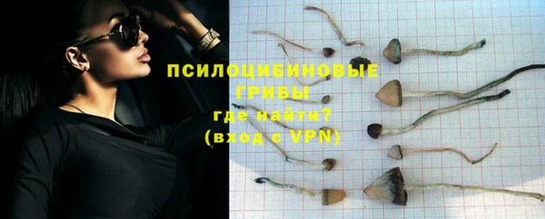 ПСИЛОЦИБИНОВЫЕ ГРИБЫ Алексеевка