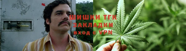 ПСИЛОЦИБИНОВЫЕ ГРИБЫ Алексеевка