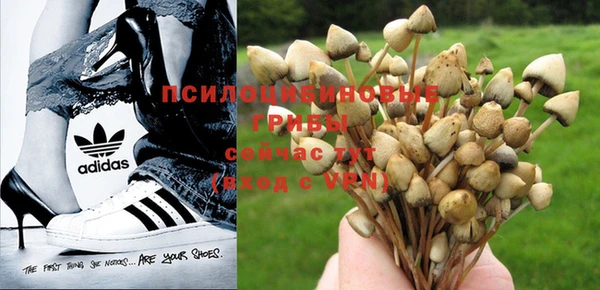 соль курить ск Алзамай