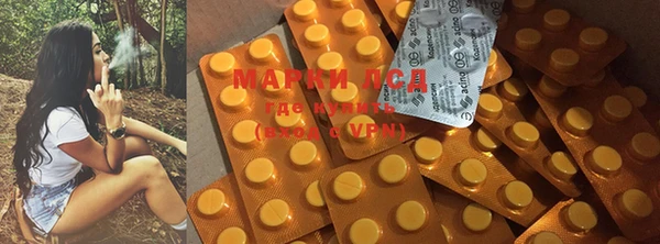 ПСИЛОЦИБИНОВЫЕ ГРИБЫ Алексеевка