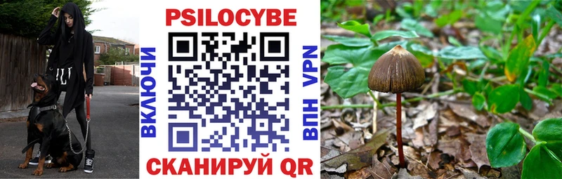 Псилоцибиновые грибы Magic Shrooms  Белоярский 